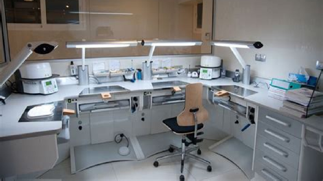 China China C B Dental Lab Co. Limited company profile