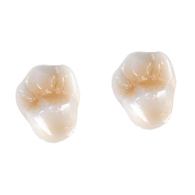 Enhance Your Lab s Efficiency with High-Durability Dental Prosthetic Lab