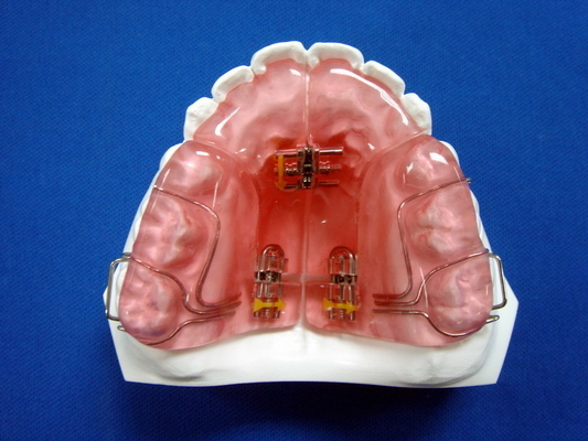 High Hardness FDA Functional Appliance Orthodontic Rubber Retainer