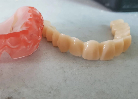Realistic Digital Data OEM 3D Printed Dental Models For Dentist Study