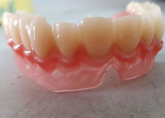 Realistic Digital Data OEM 3D Printed Dental Models For Dentist Study
