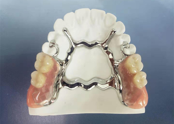 Natrural Shade 3D Printing Fixed Removable Denture For Dentist Study