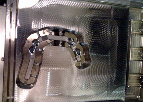 Aesthetic Dental Implant Crown Hygienic Implant-Supported Dentures