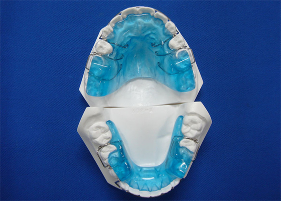 Dental CE FDA ISO Certified Orthodontic Technology Easy Maintenance Durable