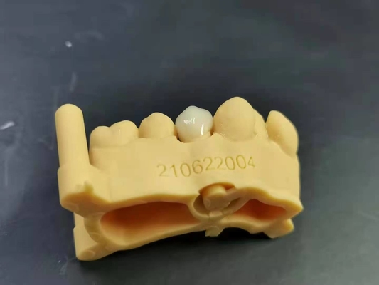 OEM 3D Printing Flexible Acrylic Denture Dental lab Digital Design