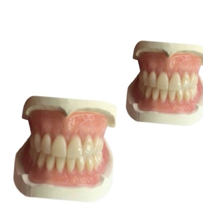 CAD Denture Dental Lab CAM Rubber 3D Printed Tooth Crown Natrural Shade